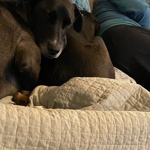 Meet your Posher, Angie